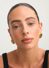 Gold Seashell Textured Stud Earrings