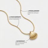 Gold Seashell Pendant Necklace with Delicate Chain