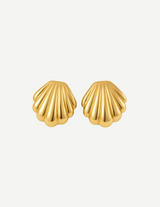Gold Seashell Textured Stud Earrings
