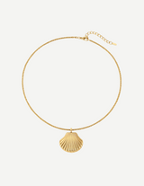 Gold Seashell Pendant Necklace with Rope Chain
