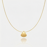 Gold Seashell Pendant Necklace with Delicate Chain